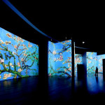 mostra van gogh roma